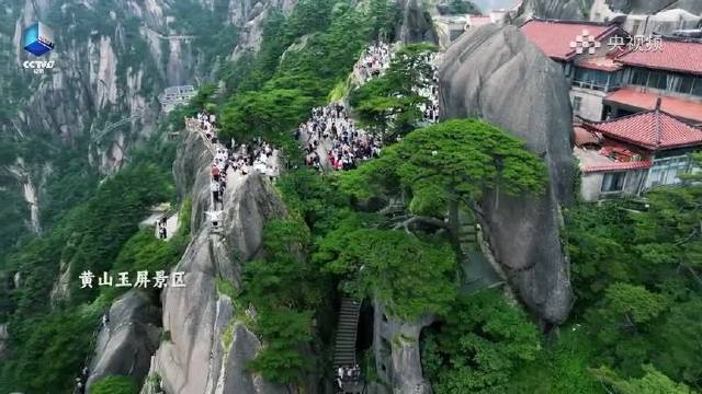 迎客松最美的时候