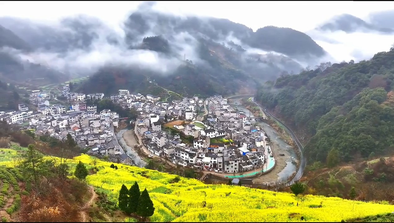 上了央视的庙前村